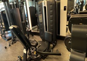 vipfit gym 5 1 1