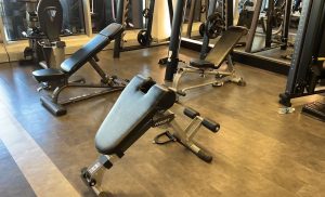vipfit gym 7 1 1