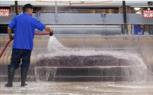 لطیفه مبل شویی رفوگری و قالیشویی در تهران 15 3