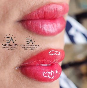 رویسا خدمات ریموو تاتو ابرو فیبروز خط چشم بن مژه در هفده شهریور تهران