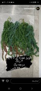 ‏گلباران ‏تزئینات ‏عقد و ‏عروسی ‏در کاشان ‏خیابان ‏بابا ‏افضل 6
