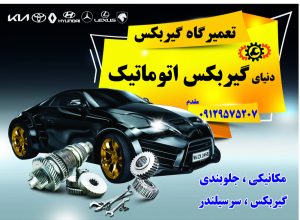 154258 WhatsApp Image 2025 02 24 at 17.42.11