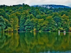 ‏تور ‏تورهای ‏یک ‏روزه ‏طبیعت ‏گردی ‏و ‏فرهنگی ‏داخلی ‏با ‏قیمت ‏ارزان ‏در ‏تهران نیاوران