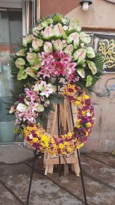WhatsApp Image 2025 03 05 at 15.32.46 4 1