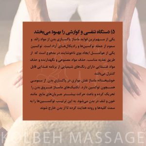 WhatsApp Image 2025 03 15 at 12.33.57 3