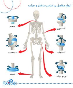 WhatsApp Image 2025 03 15 at 12.33.58 1 4